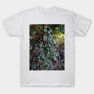 Tree climber T-Shirt